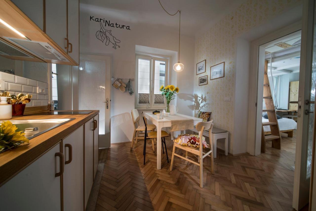 Karinatura Ljubljana Eksteriør bilde